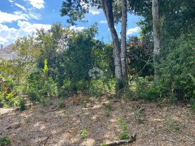 Terreno venda em Sede Municipal, Santa Cruz do Sul