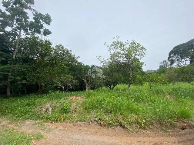 Terreno venda em Região Geográfica Imediata de Santa Cruz do Sul, Santa Cruz do Sul