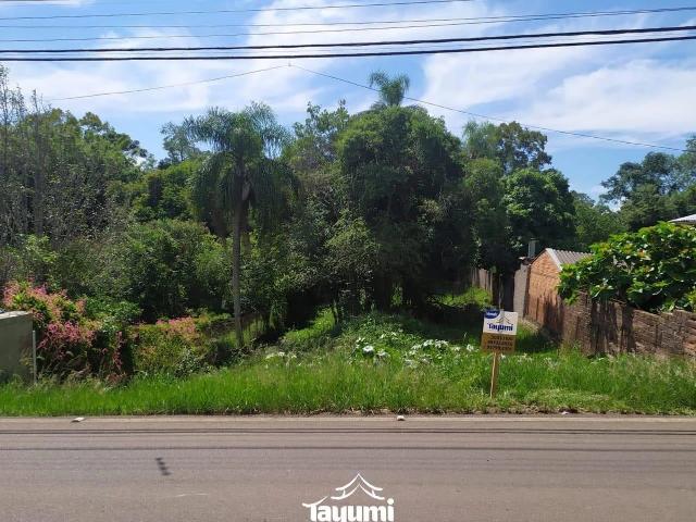 Terreno venda em Santa Cruz do Sul, Região Geográfica Intermediária de Santa Cruz do Sul - Lajeado