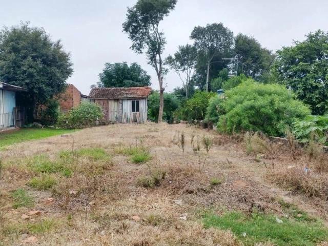 Terreno venda em Loteamento Mãe de Deus, Santa Cruz do Sul