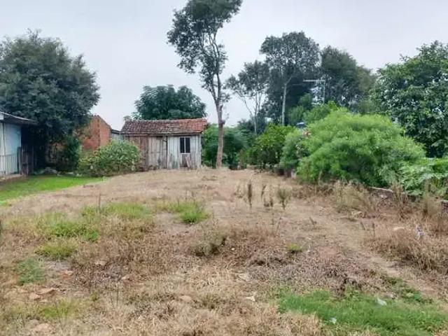 Terreno venda em Região Geográfica Imediata de Santa Cruz do Sul, Santa Cruz do Sul
