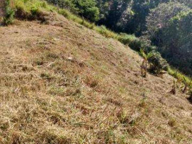 Terreno venda em Santa Isabel
