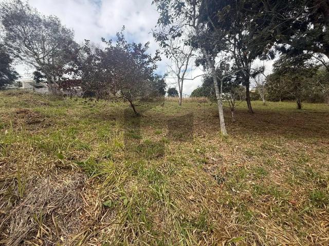 Terreno venda em Santa Isabel, Região Geográfica Intermediária de São Paulo