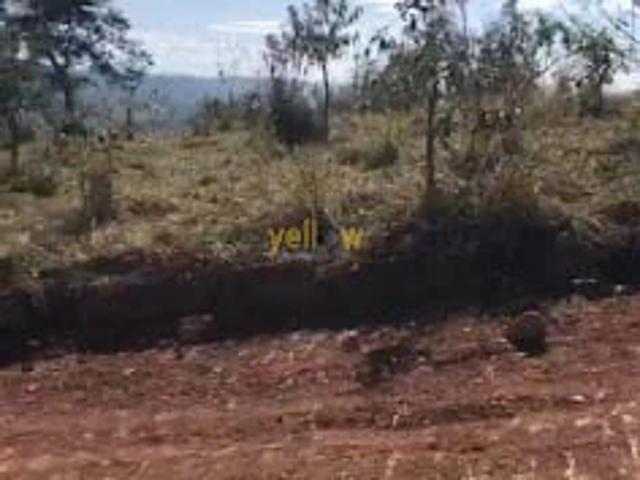 Terreno venda em Santa Isabel, Região Geográfica Intermediária de São Paulo