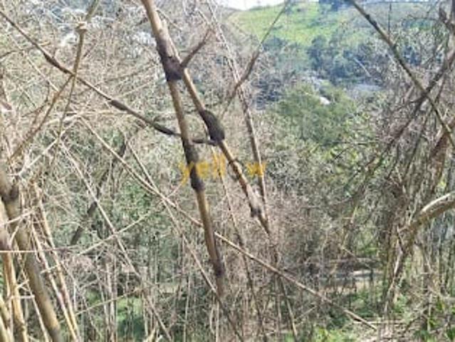 Terreno venda em Santa Isabel, Região Geográfica Intermediária de São Paulo
