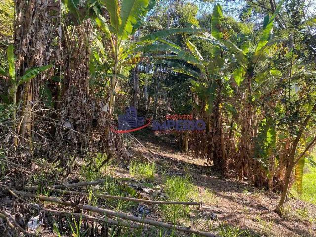 Terreno venda em Santa Isabel