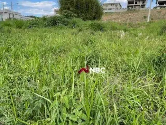 Terreno venda em Santa Isabel