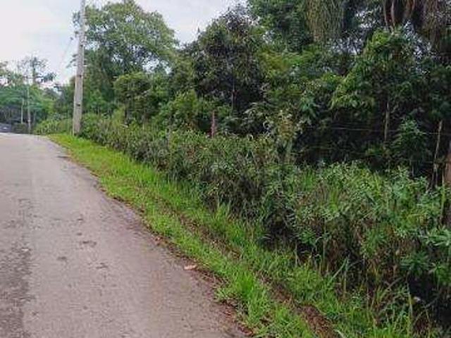 Terreno venda em Santa Isabel