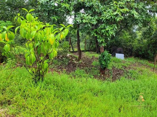 Terreno venda em Região Geográfica Imediata de Belo Horizonte, Região Metropolitana de Belo Horizonte