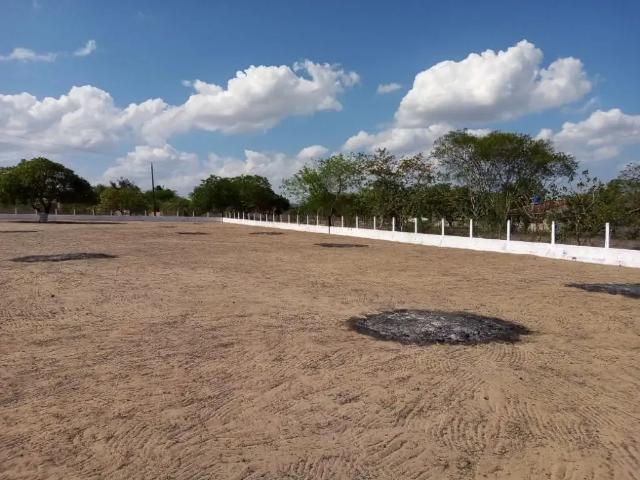 Terreno venda em Santa Maria do Cambuca, Região Nordeste