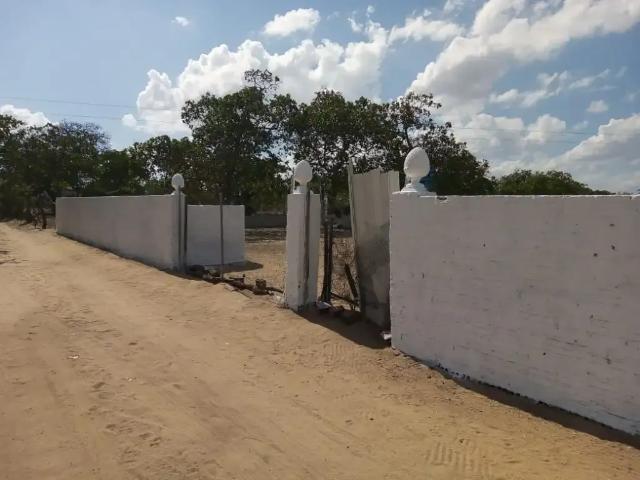 Terreno venda em Santa Maria do Cambuca, Região Nordeste