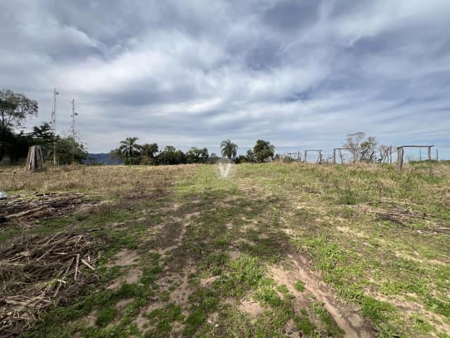 Terreno venda em Vila Santa Brígida, Santa Maria
