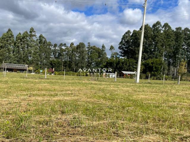 Terreno venda em Vila Arroio Grande, Santa Maria