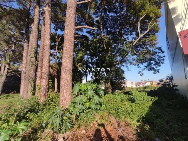 Terreno venda em Região Geográfica Imediata de Santa Maria, Santa Maria