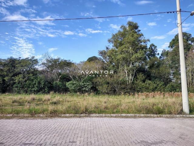 Terreno venda em Região Geográfica Imediata de Santa Maria, Santa Maria