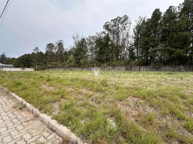 Terreno venda em Região Geográfica Imediata de Santa Maria, Santa Maria