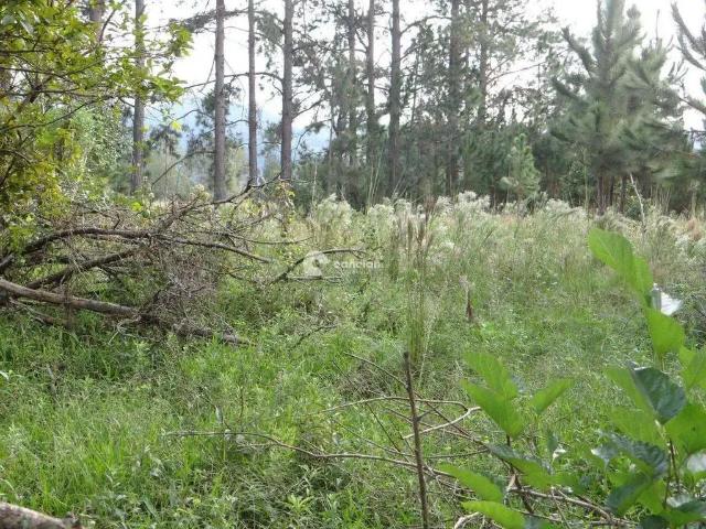Terreno venda em Região Geográfica Imediata de Santa Maria, Santa Maria