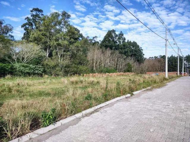Terreno venda em Região Geográfica Imediata de Santa Maria, Santa Maria