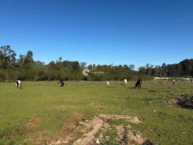 Terreno venda em Região Geográfica Imediata de Santa Maria, Santa Maria