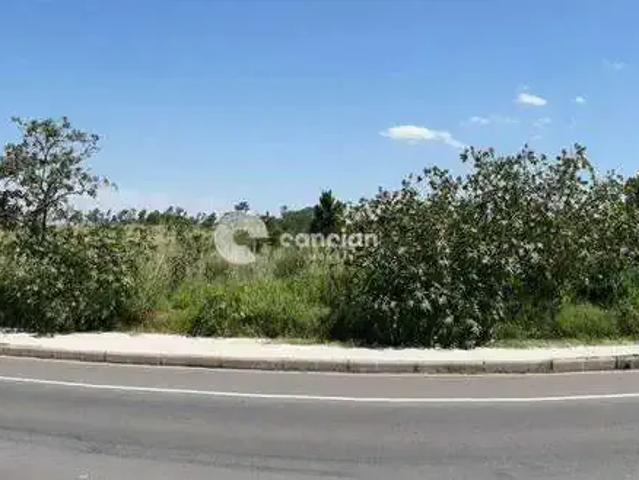 Terreno venda em Região Geográfica Imediata de Santa Maria, Santa Maria