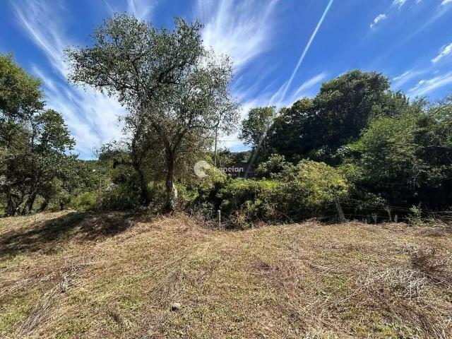 Terreno venda em Região Geográfica Imediata de Santa Maria, Santa Maria