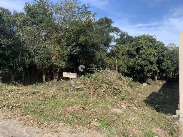 Terreno venda em Região Geográfica Imediata de Santa Maria, Santa Maria