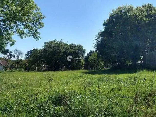 Terreno venda em Região Geográfica Imediata de Santa Maria, Santa Maria