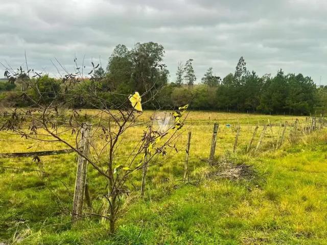 Terreno venda em Região Geográfica Imediata de Santa Maria, Santa Maria