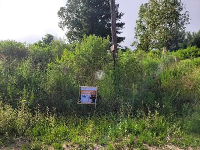 Terreno venda em Região Geográfica Imediata de Santa Maria, Santa Maria