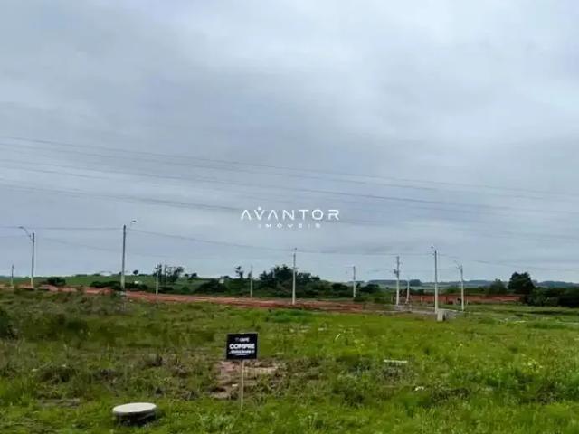 Terreno venda em Região Geográfica Imediata de Santa Maria, Santa Maria