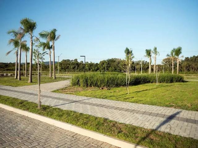 Terreno venda em Diácono João Luiz Pozzobon, Santa Maria