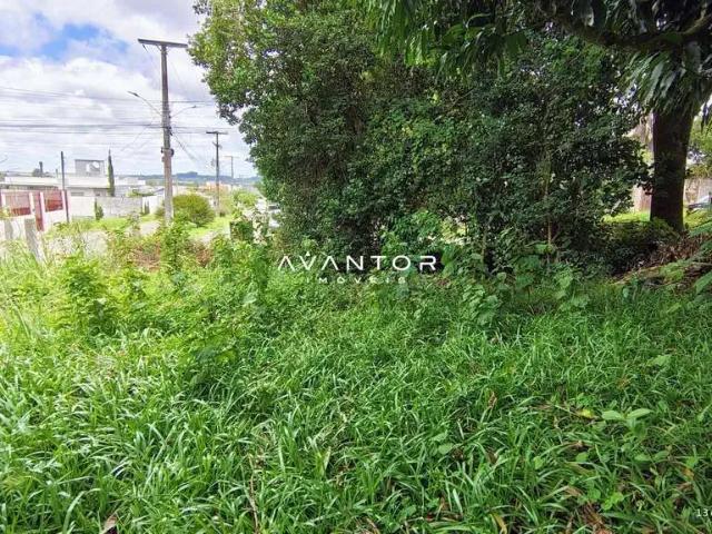 Terreno venda em Região Geográfica Imediata de Santa Maria, Santa Maria