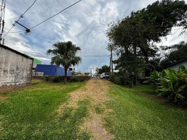 Terreno venda em Urlândia, Santa Maria