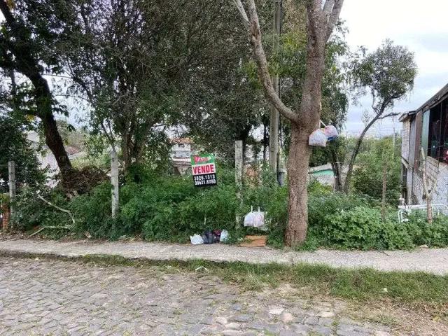Terreno venda em Região Geográfica Imediata de Santa Maria, Santa Maria