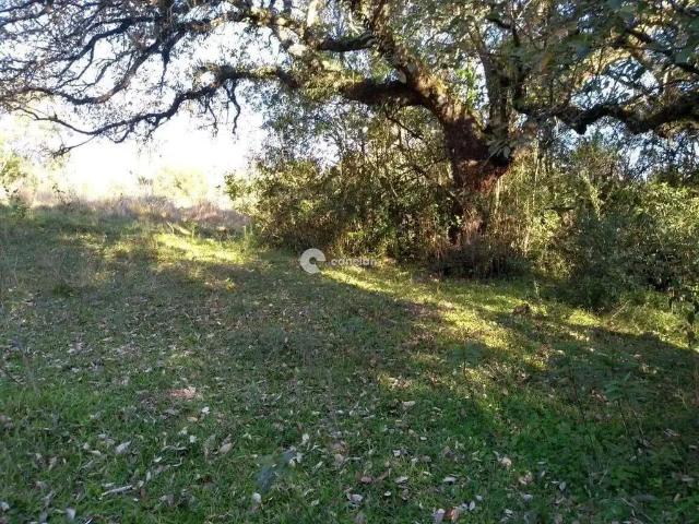 Terreno venda em Região Geográfica Imediata de Santa Maria, Santa Maria
