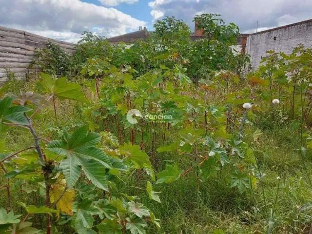 Terreno venda em Região Geográfica Imediata de Santa Maria, Santa Maria
