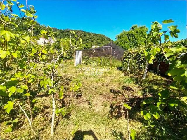 Terreno venda em Região Geográfica Imediata de Santa Maria, Santa Maria