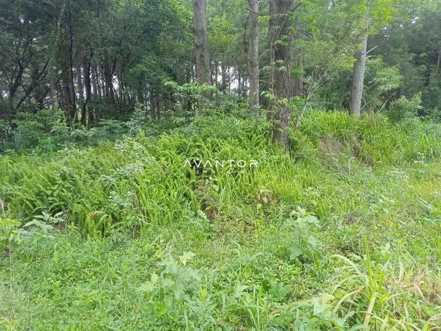 Terreno venda em Região Geográfica Imediata de Santa Maria, Santa Maria