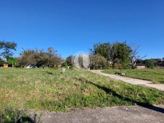 Terreno venda em Pinheiro Machado, Santa Maria