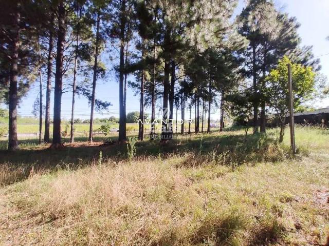 Terreno venda em Região Geográfica Imediata de Santa Maria, Santa Maria