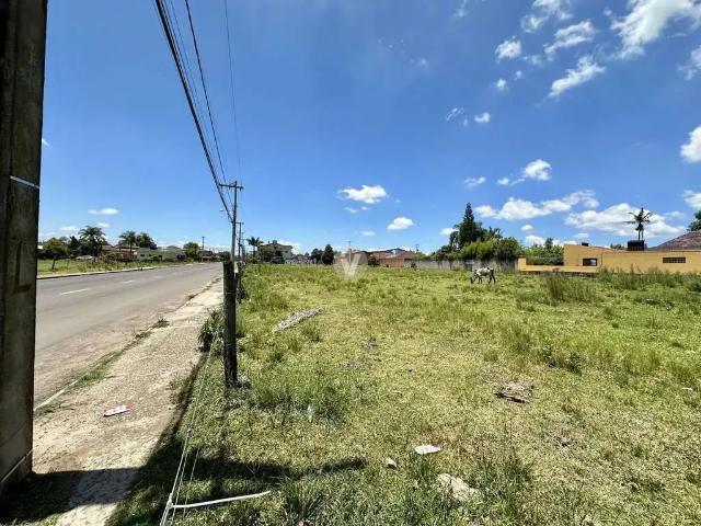Terreno venda em Pinheiro Machado, Santa Maria