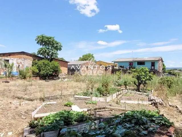 Terreno venda em Pinheiro Machado, Santa Maria