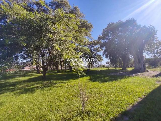 Terreno venda em Região Geográfica Imediata de Santa Maria, Santa Maria