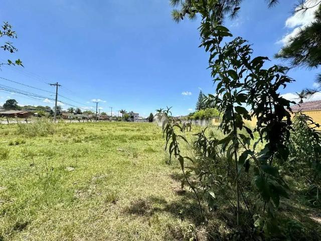 Terreno venda em Região Geográfica Imediata de Santa Maria, Santa Maria