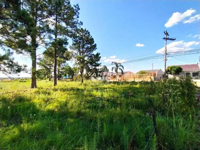 Terreno venda em Região Geográfica Imediata de Santa Maria, Santa Maria