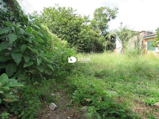 Terreno venda em Salgado Filho, Santa Maria