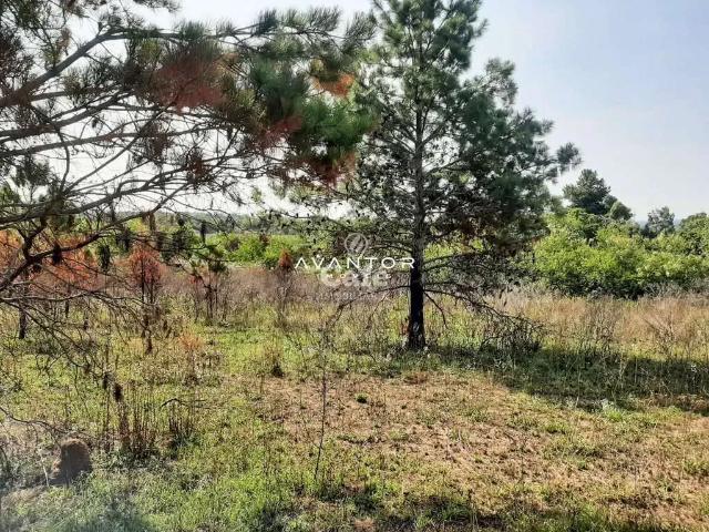 Terreno venda em Região Geográfica Imediata de Santa Maria, Santa Maria