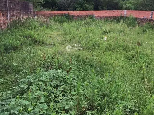 Terreno venda em Região Geográfica Imediata de Santa Maria, Santa Maria