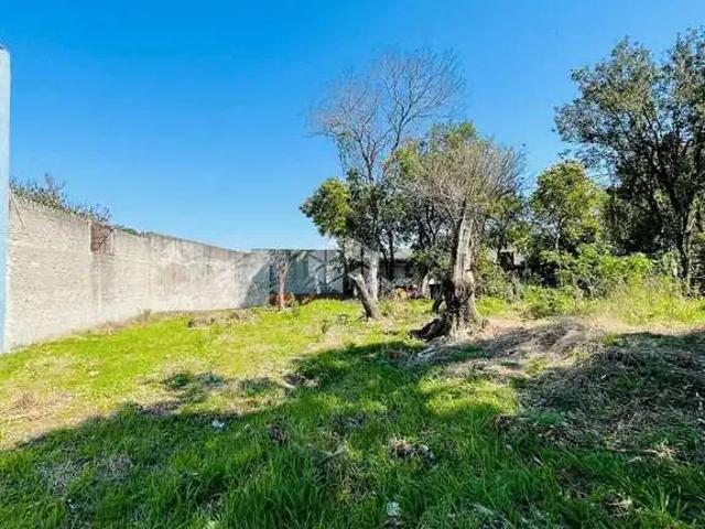 Terreno venda em Região Geográfica Imediata de Santa Maria, Santa Maria