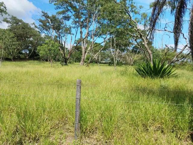 Terreno venda em Região Imediata de São Carlos, Região Metropolitana de Ribeirão Preto